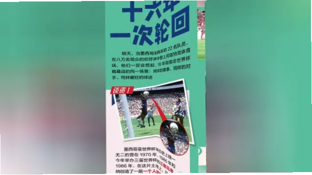 爱看球 vs 凑热闹：真正球迷的观赛指南